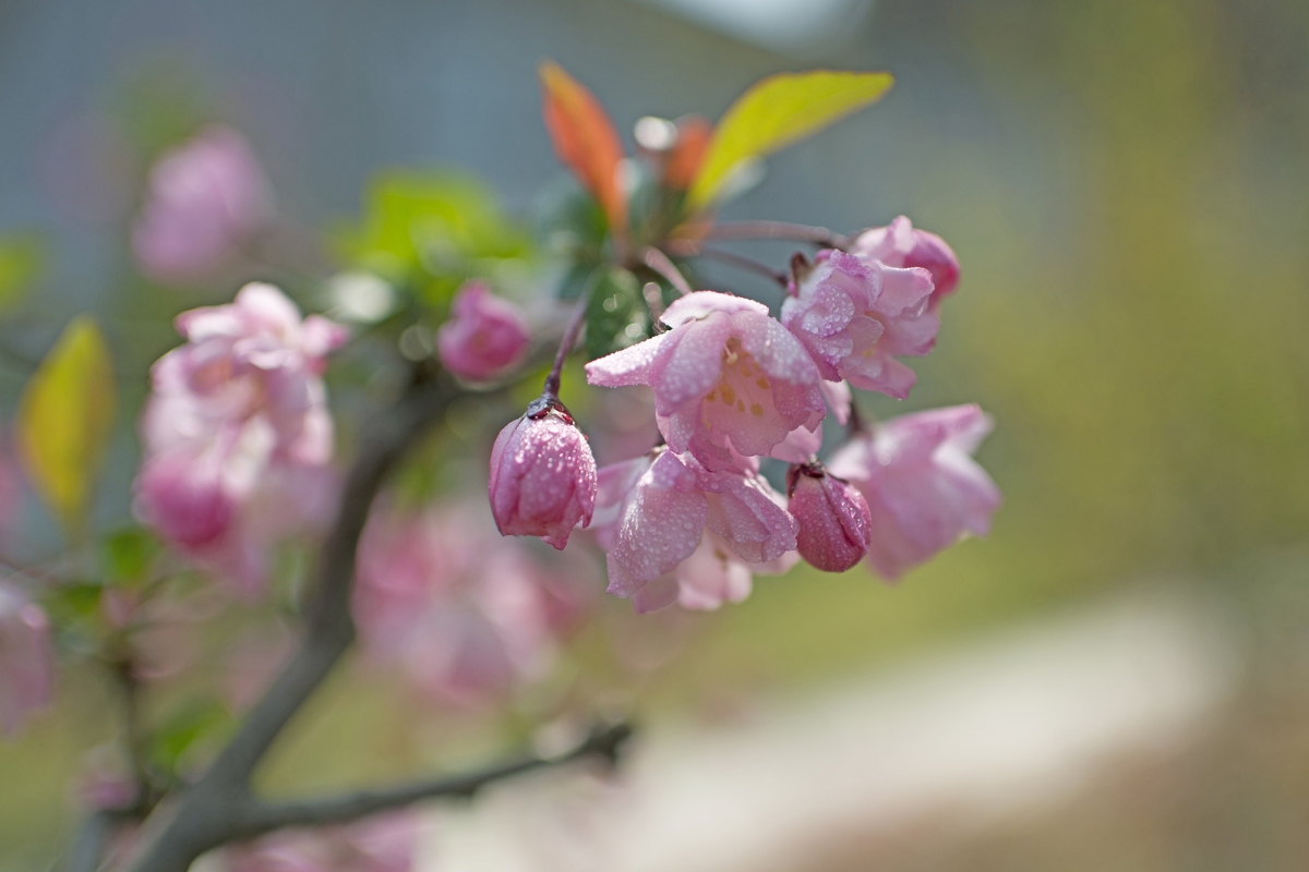 DSC_3802.jpg