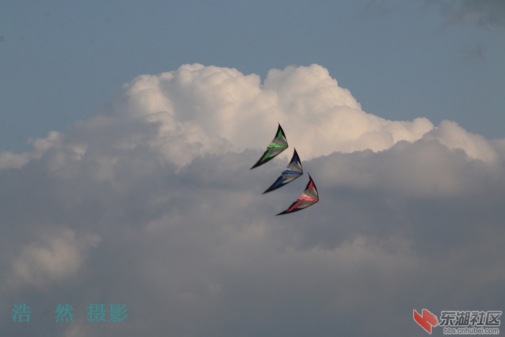 照片 015_副本.jpg