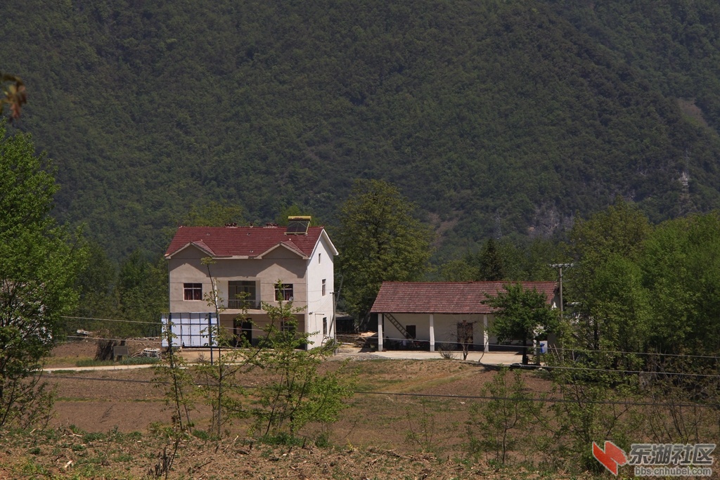 _MG_9916.jpg