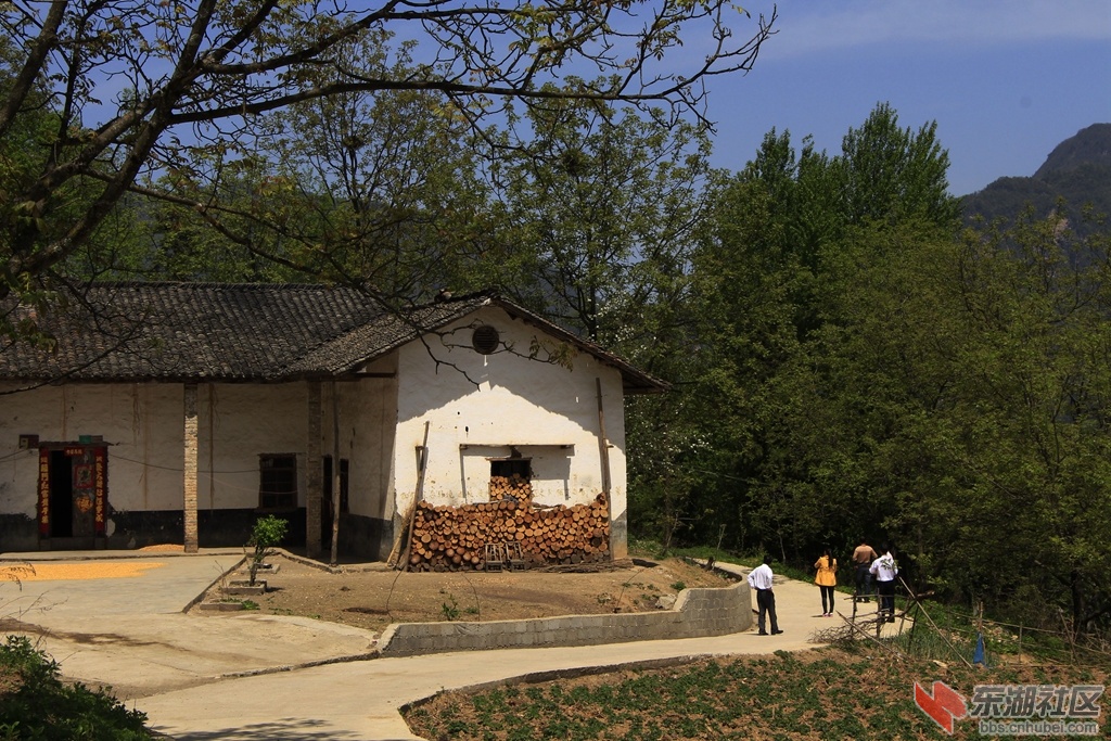 _MG_9923.jpg