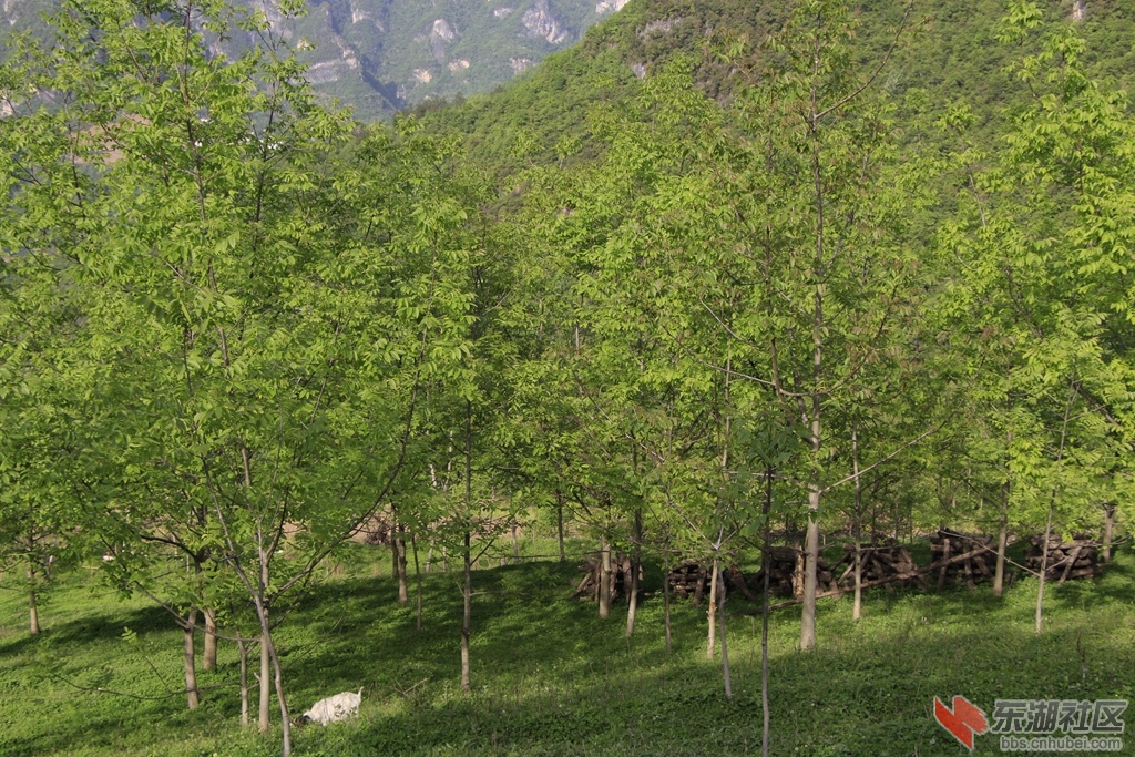_MG_9967.jpg