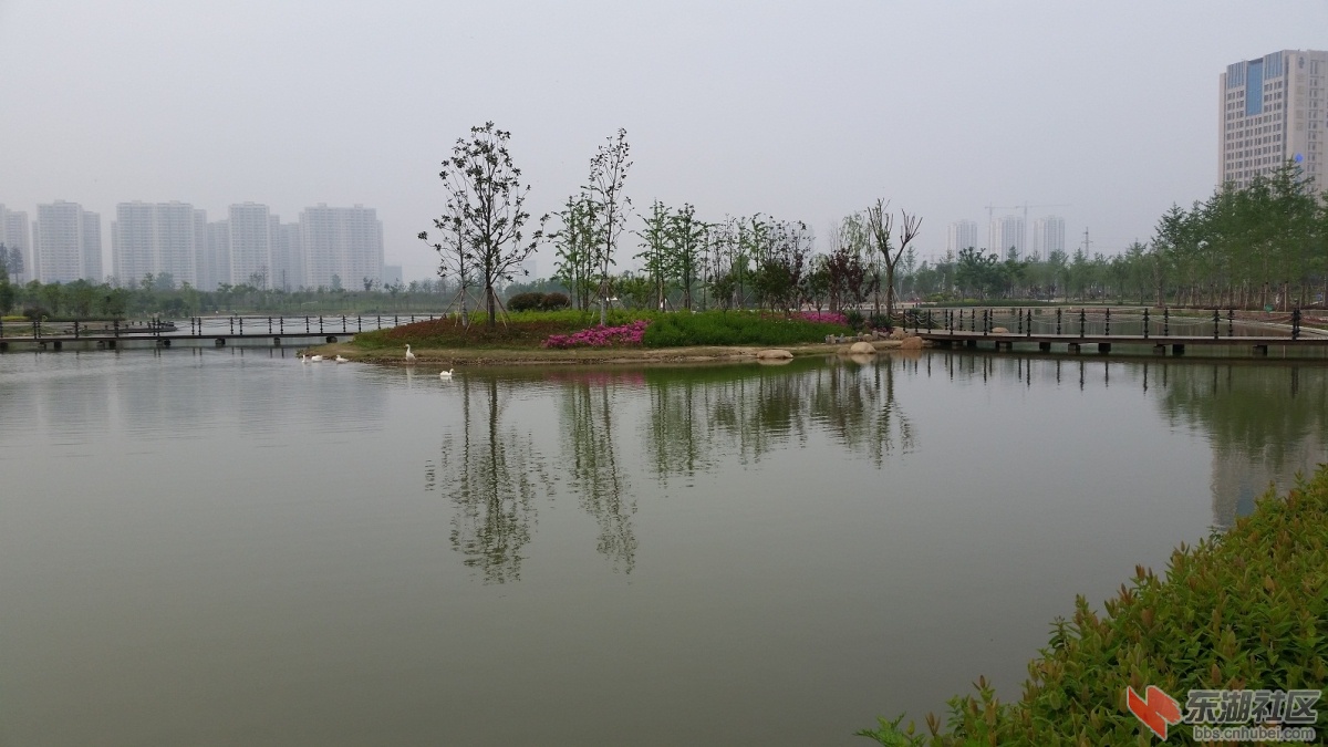 20150429_074639.jpg