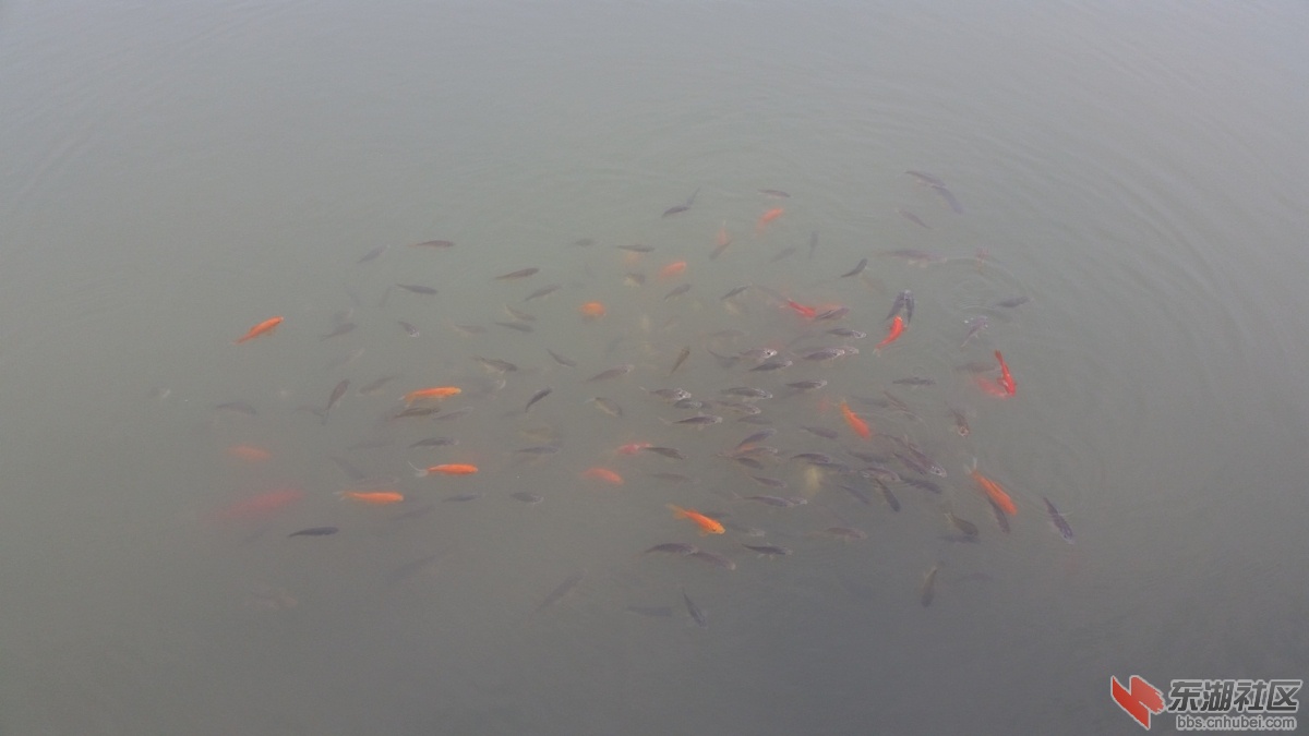 20150429_074416.jpg