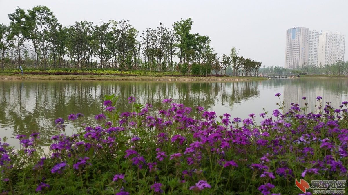 20150429_074952.jpg