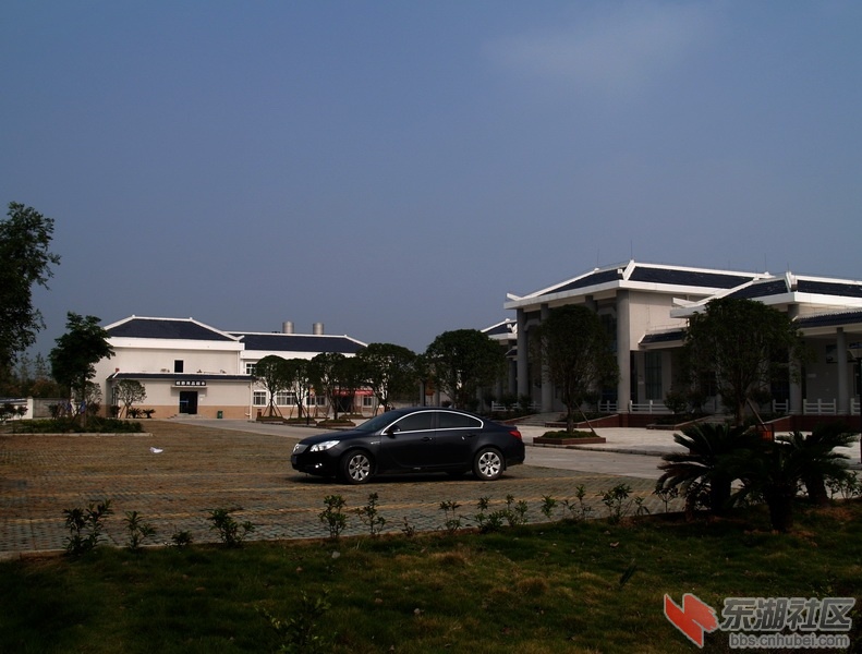 PA225129.JPG
