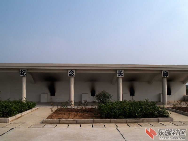 PA225138.JPG