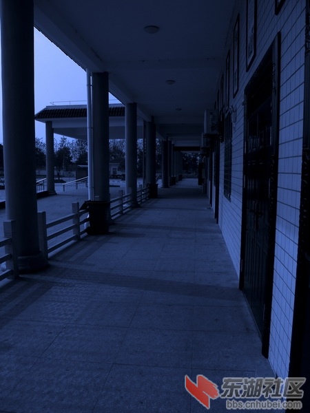 PA225151.JPG