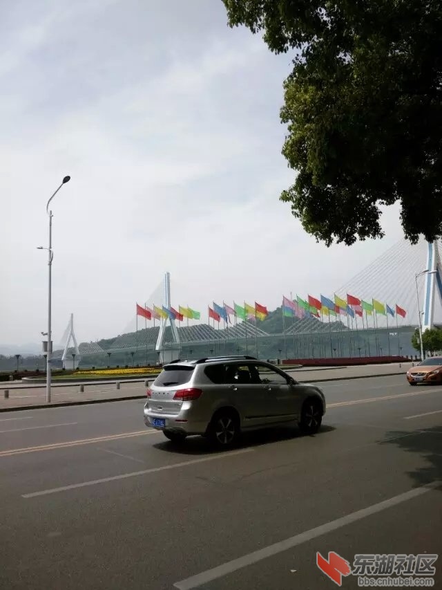 psb33.jpg