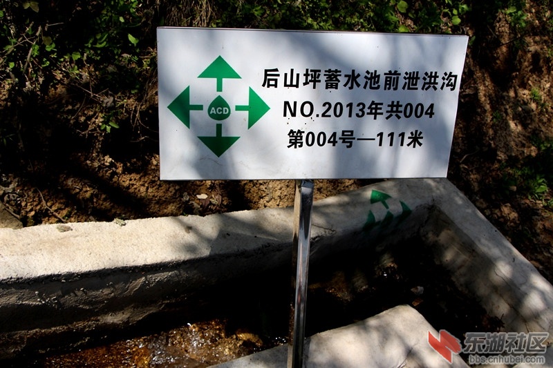 IMG_8377_副本.jpg