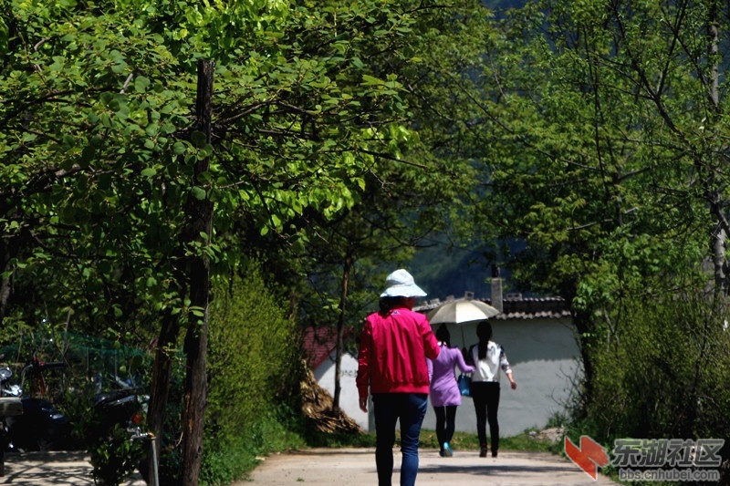 IMG_8555_副本.jpg