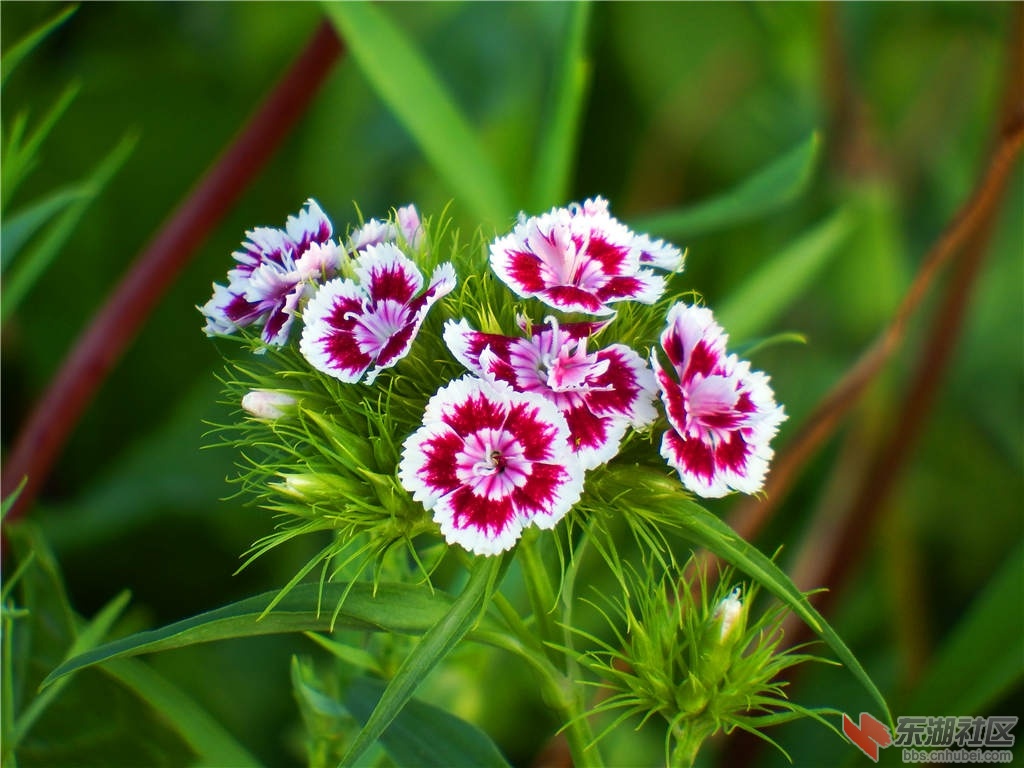 DSCF5575_副本.jpg