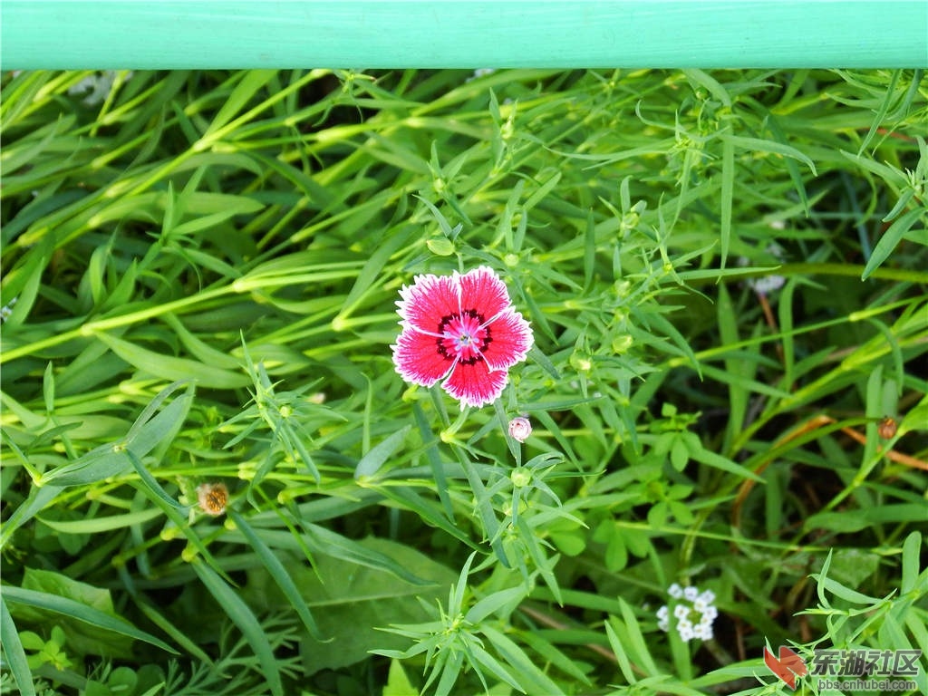 DSCF5597_副本.jpg