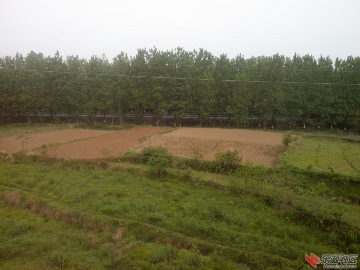 IMG_20150501_071307.jpg