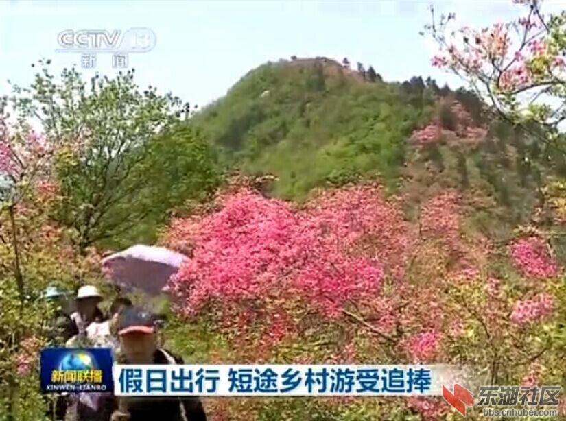 QQ图片20150503183515.jpg