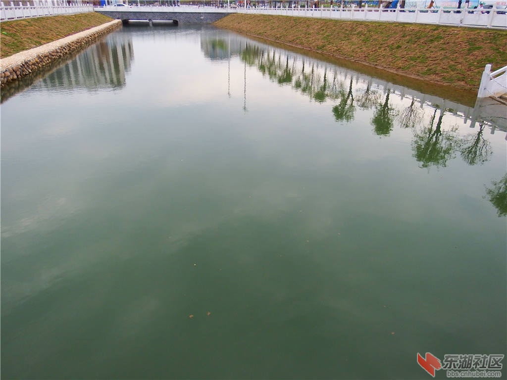 DSCF5850_副本.jpg