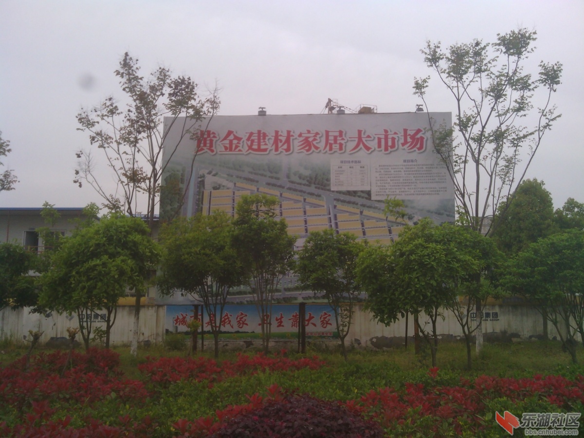 IMG_20150415_152054.jpg