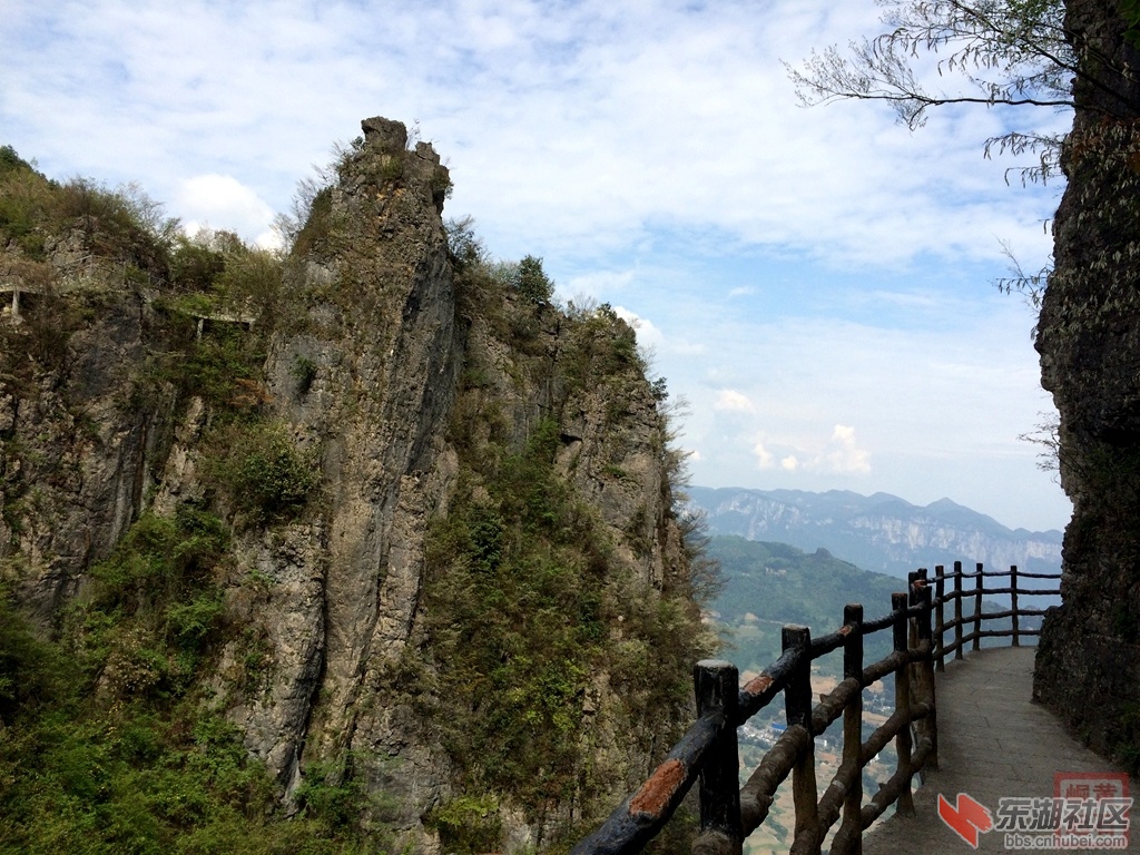 照片 487.jpg