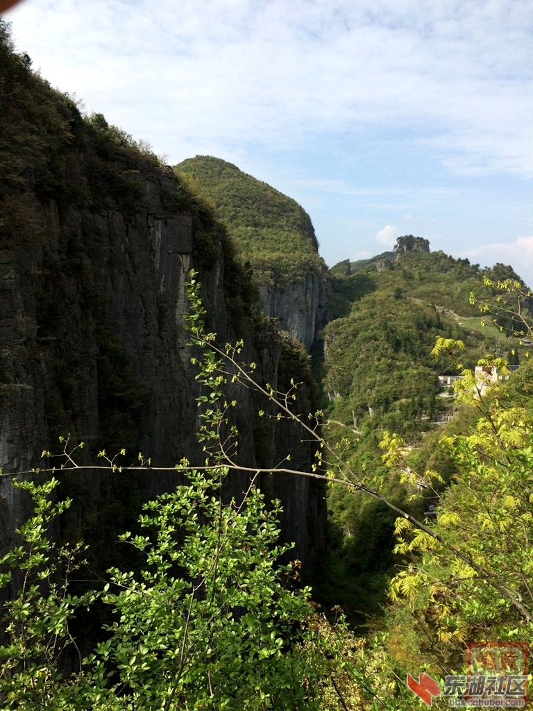 照片 521.jpg