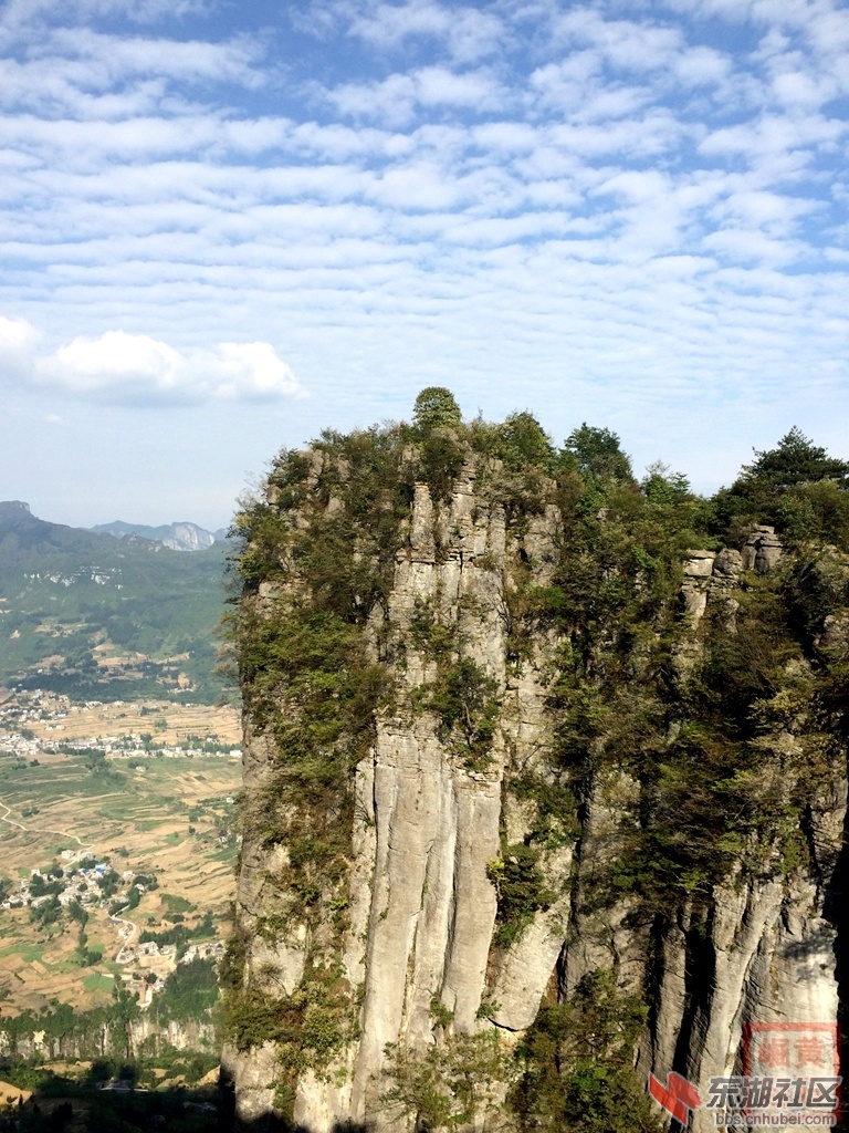 照片 565.jpg