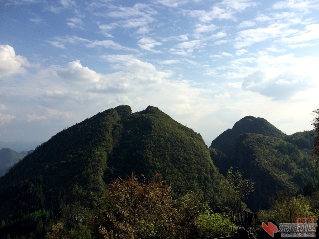 照片 585.jpg