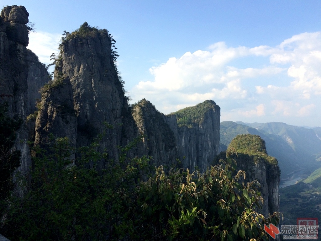 照片 631.jpg