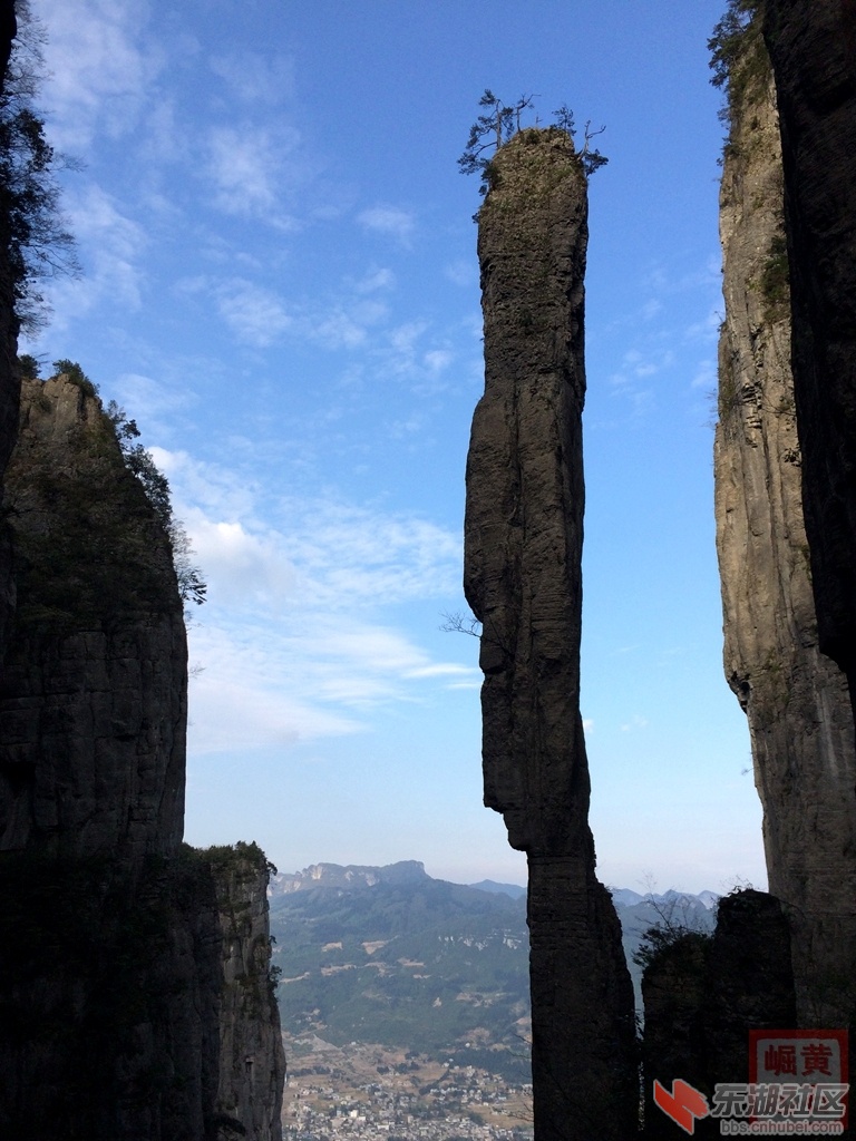 照片 725.jpg