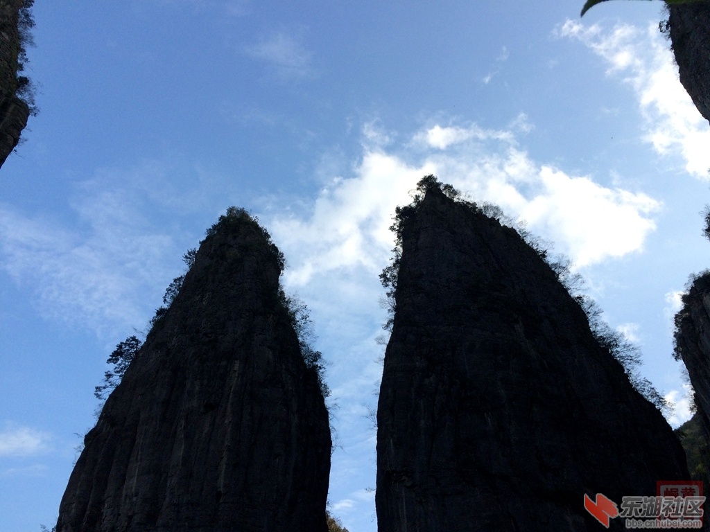 照片 749.jpg