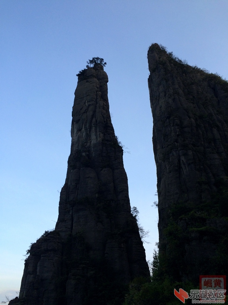 照片 803.jpg