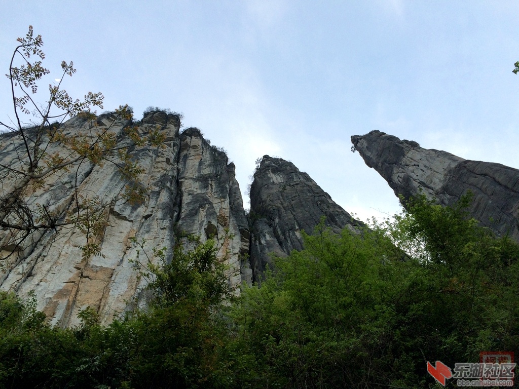 照片 827.jpg