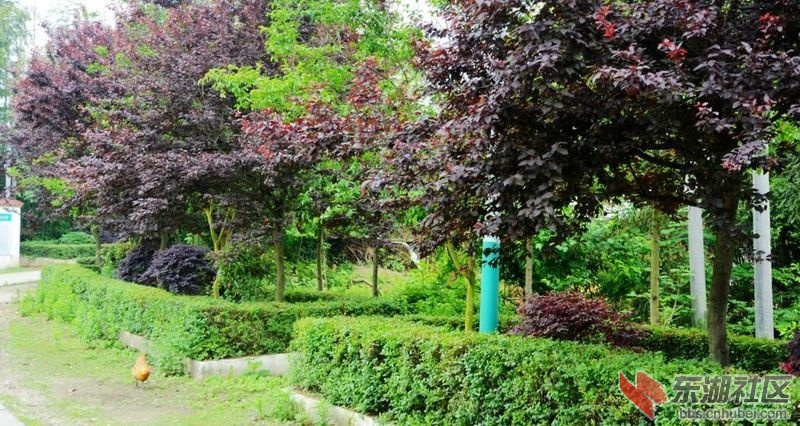 记忆梅川，记住乡愁系列报道之四十四张牌村(A)