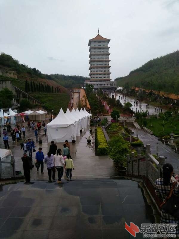 QQ图片20150507103017.jpg