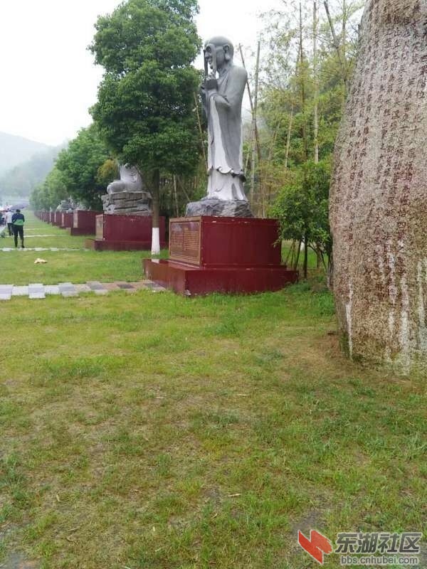 QQ图片20150507104636.jpg