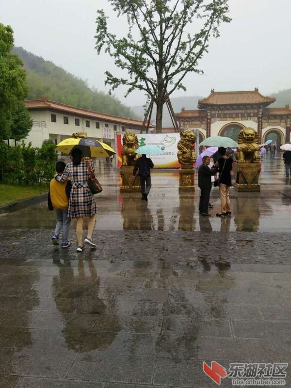 QQ图片20150507104655.jpg