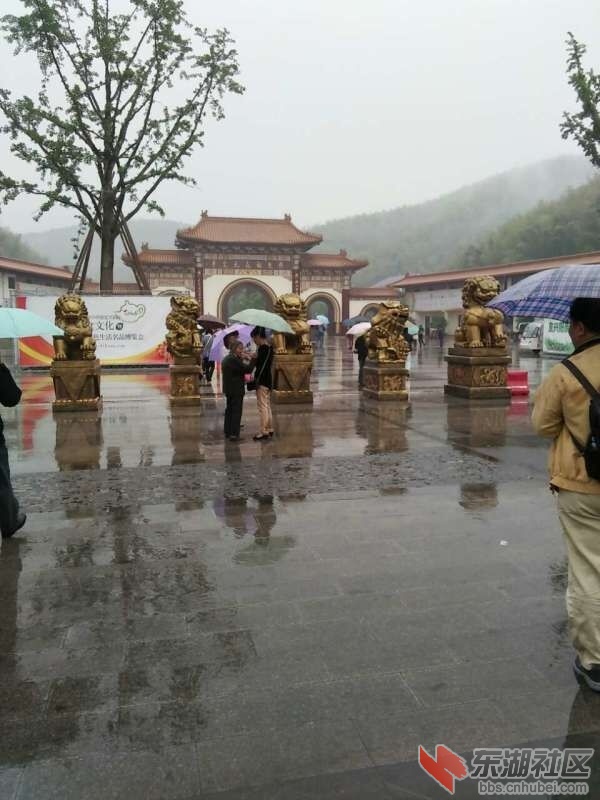 QQ图片20150507104659.jpg
