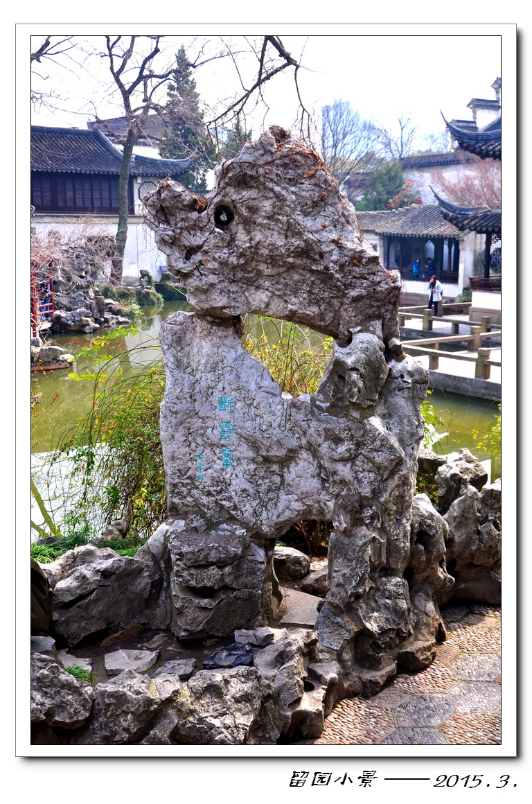 nEO_IMG_DSC_0233.jpg