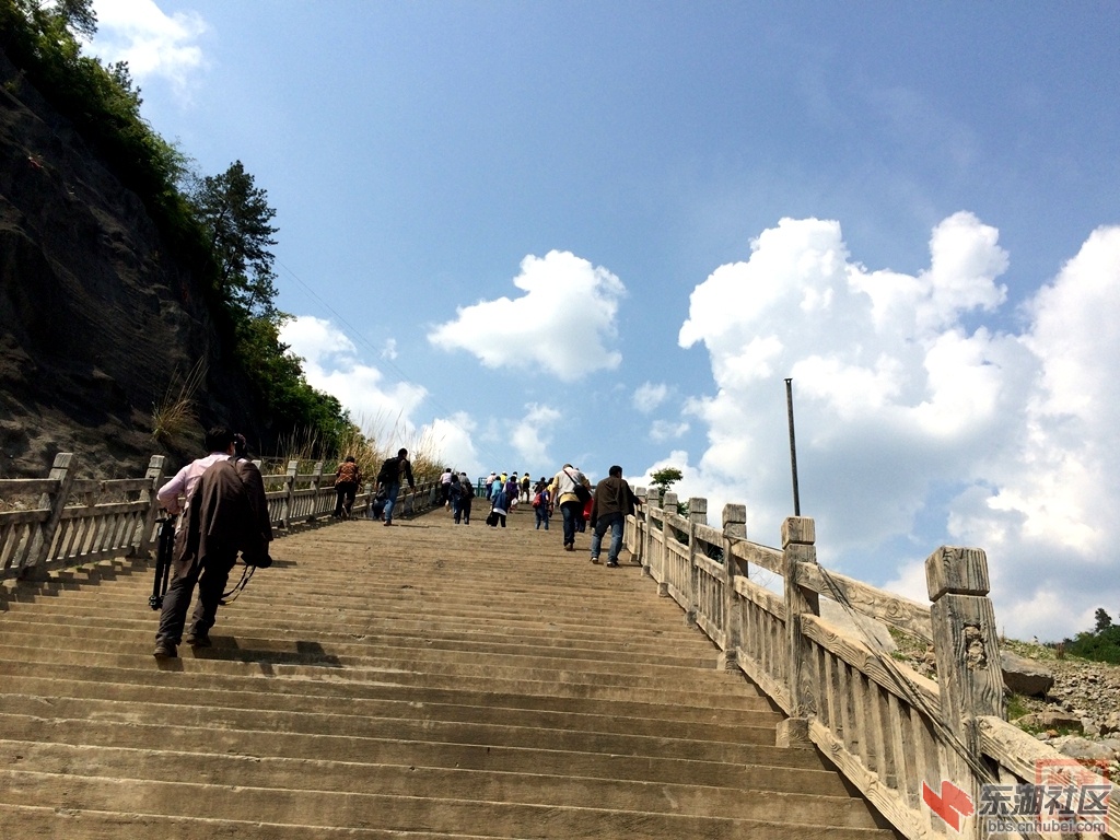 照片 1261.jpg