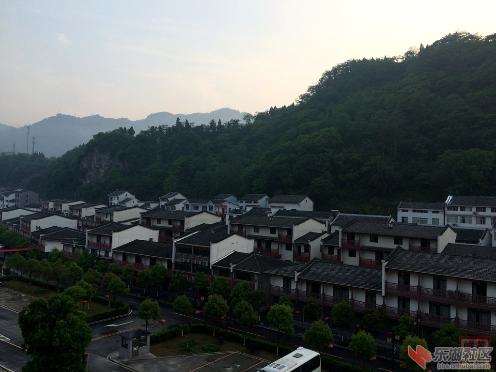 照片 1316.jpg
