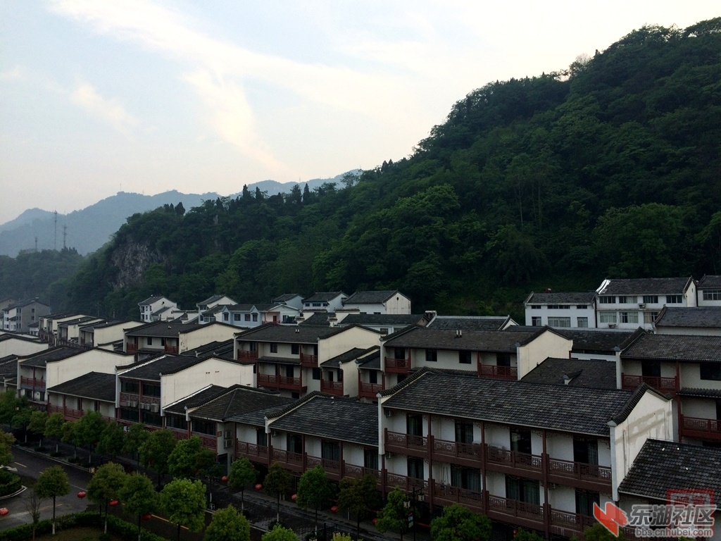 照片 1328.jpg
