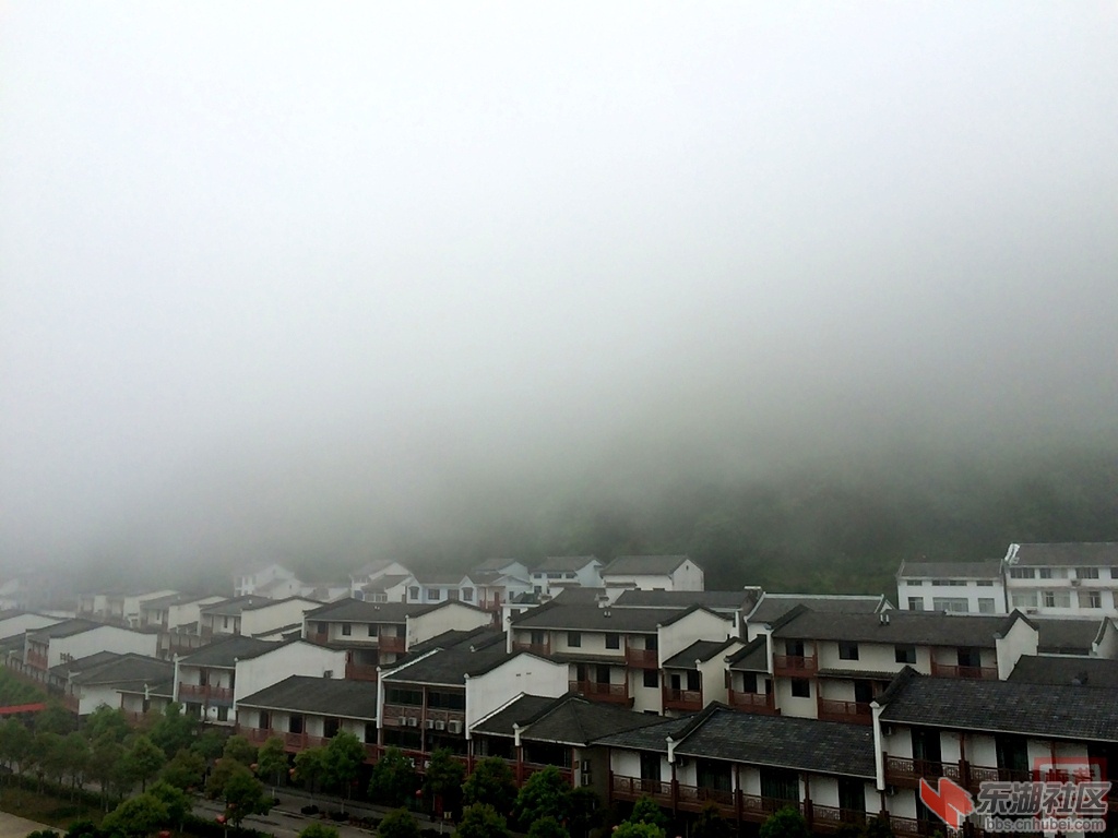 照片 1356.jpg