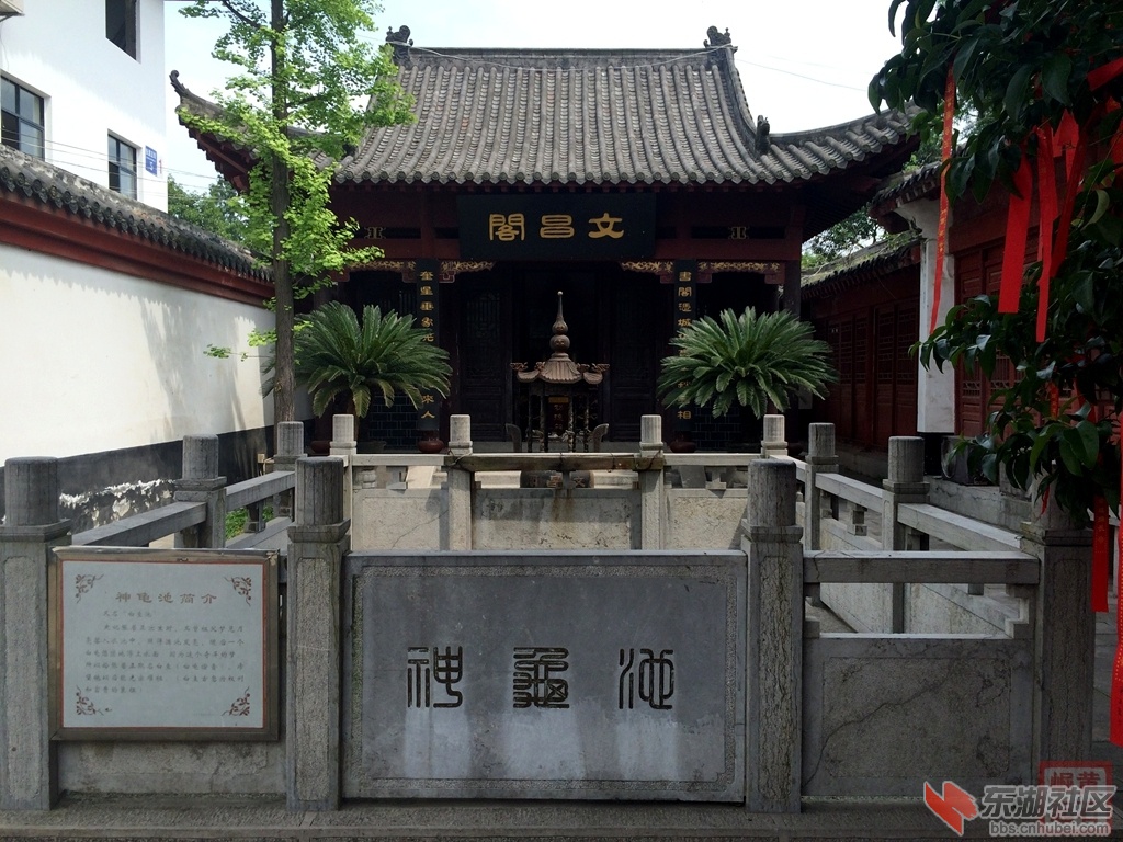 照片 1998.jpg