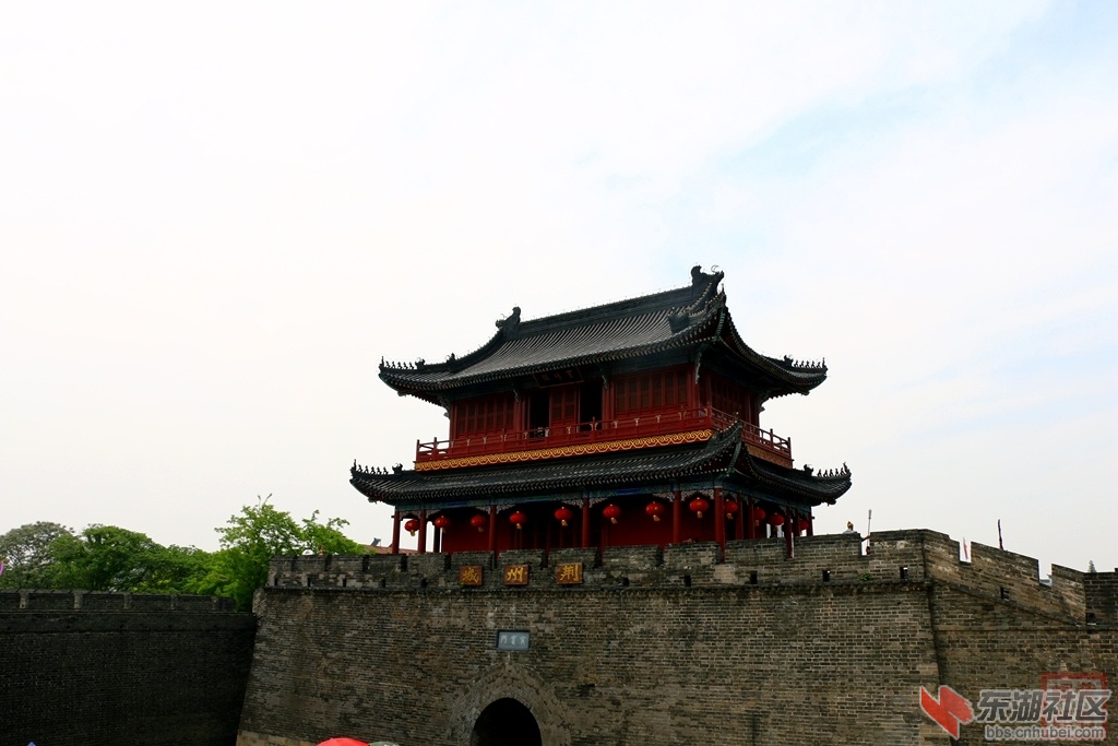 IMG_7748.jpg