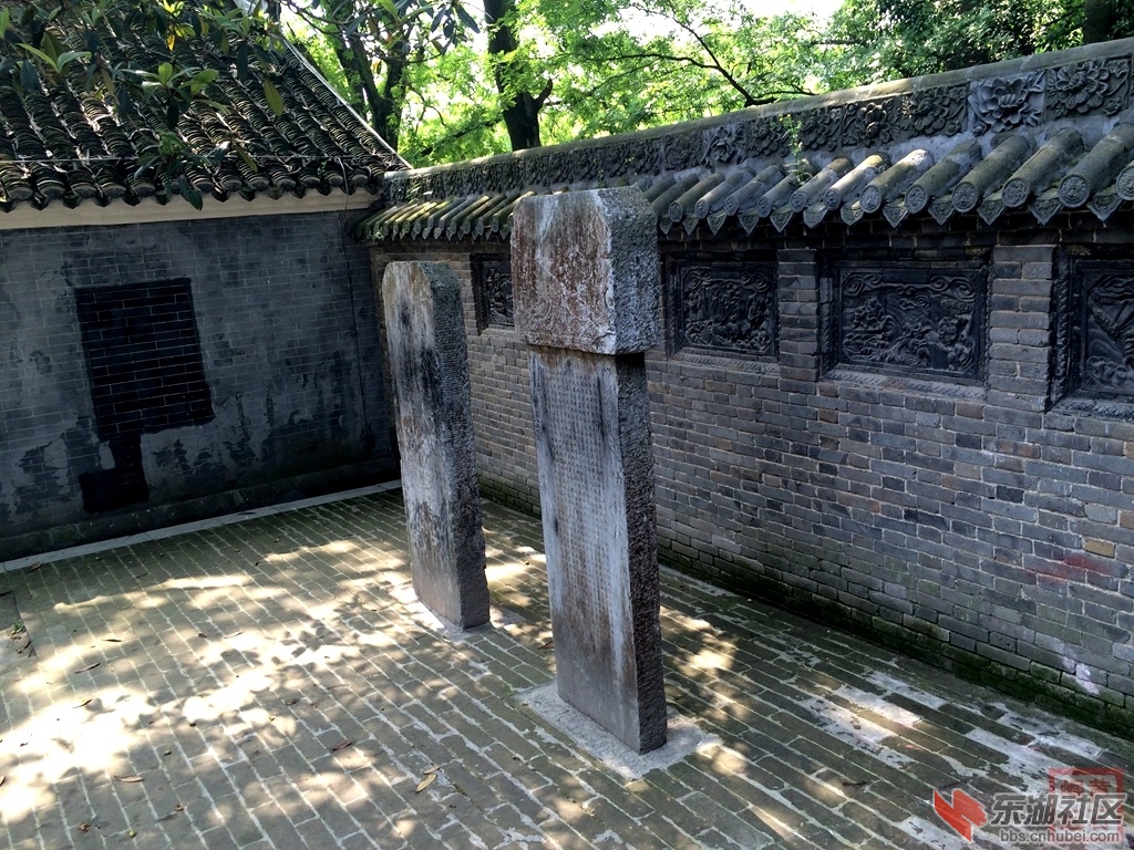 照片 2688.jpg