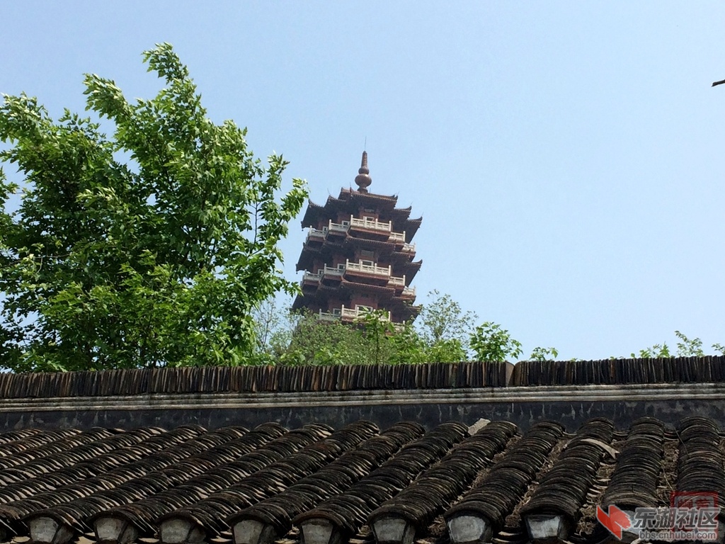 照片 2783.jpg