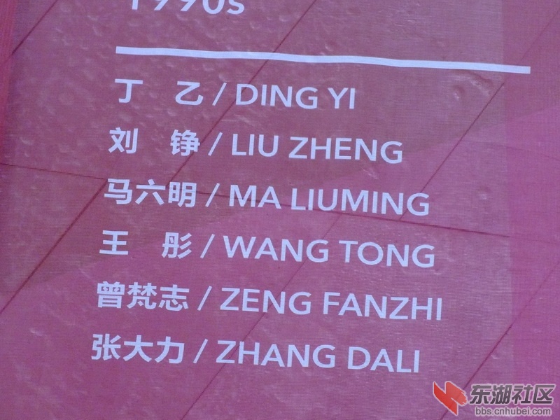 DSCF8382_缩小大小.JPG