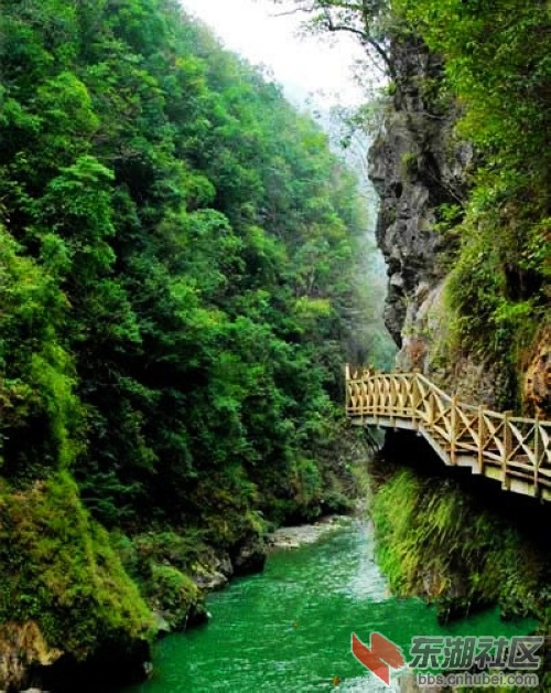 4贵州南江大峡谷栈道.jpg