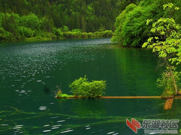 20100919_e4d109abec3f213ea729ku0yA3fzhy73.jpg