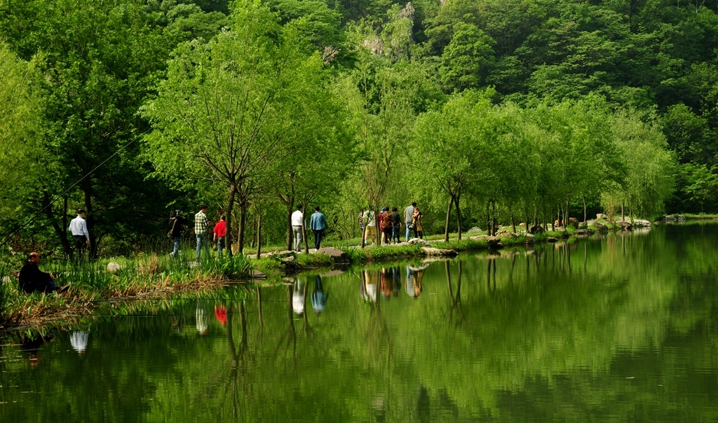 DSC_4829.JPG