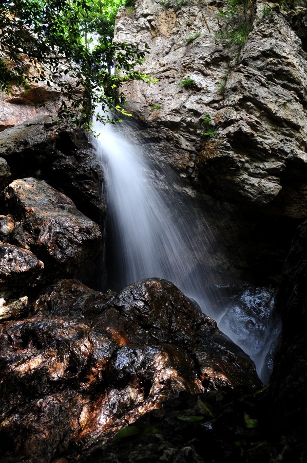 DSC_4832.JPG