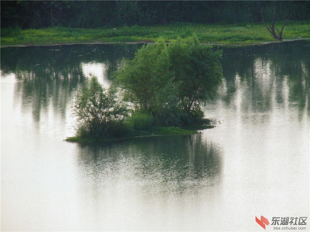 DSCF6522_副本.jpg