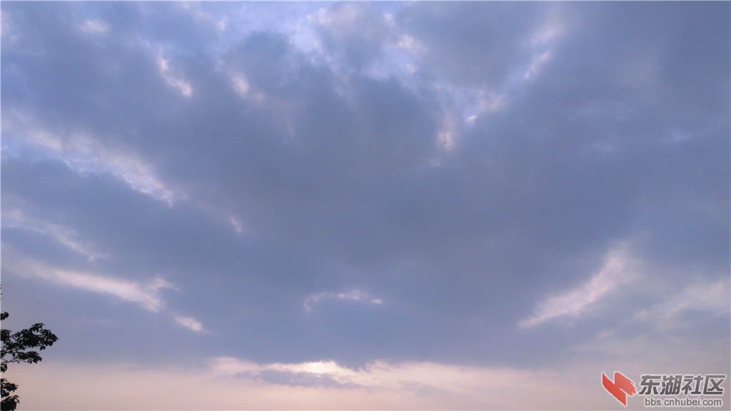 IMG_20150510_063143_副本.jpg